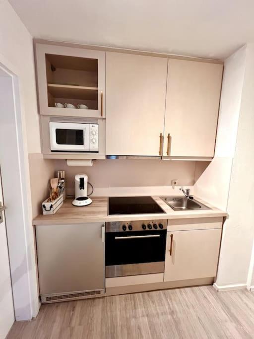 Stylish Studio Apartment With Beautiful Balcony Ingolstadt Bagian luar foto